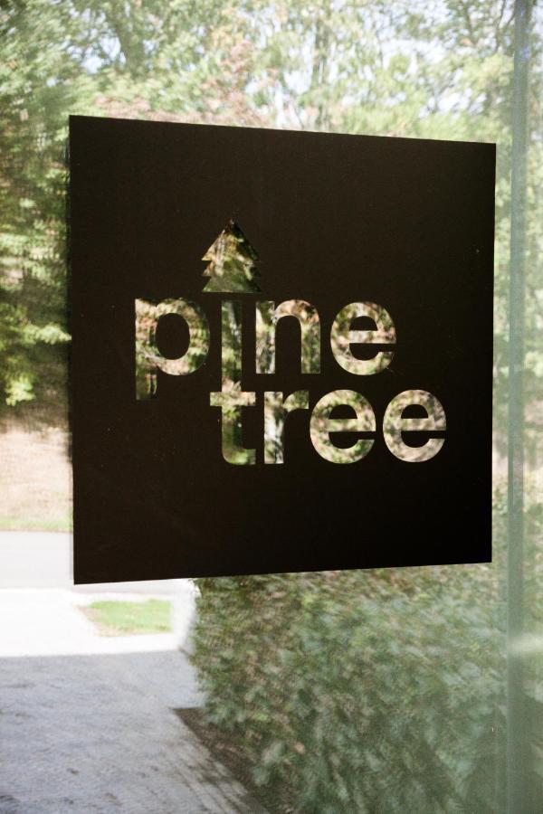 Pine Tree Villa Herbeumont Luaran gambar